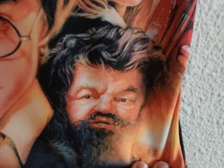 Bañador Harry Potter