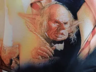 Bañador Harry Potter