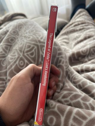 Zelda Link's Awakening Nintendo Switch