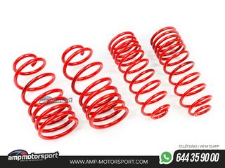 MUELLES DEPORTIVOS MTS TECHNIK MTSXAU288