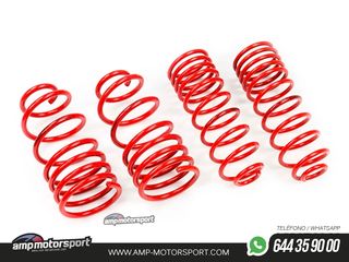 MUELLES DEPORTIVOS MTS TECHNIK MTSXNI001