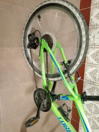 Bicicleta Infantil Torpado Tigre T625 16