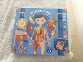 Juego Cuerpo Humano Magnético Educativo