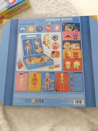 Juego Cuerpo Humano Magnético Educativo