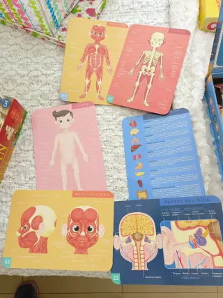Juego Cuerpo Humano Magnético Educativo
