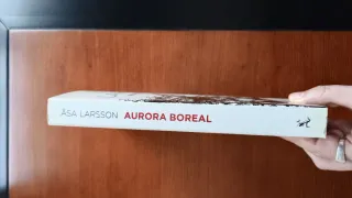Aurora Boreal (Spanish Edition)