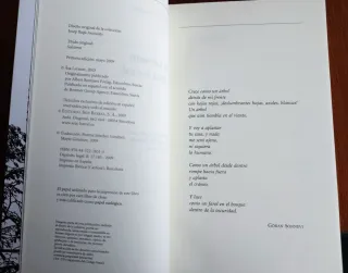 Aurora Boreal (Spanish Edition)