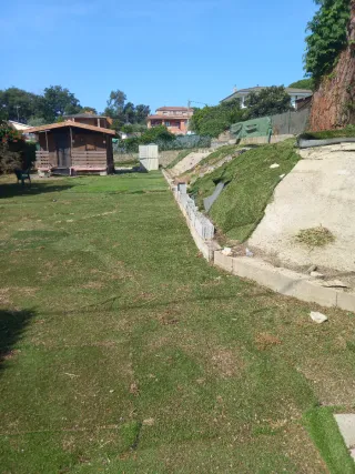 Limpieza parcelas y jardines