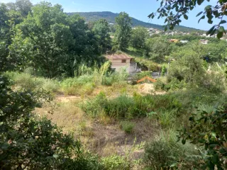 Limpieza parcelas y jardines