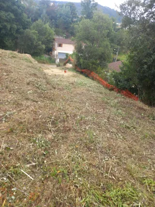 Limpieza parcelas y jardines