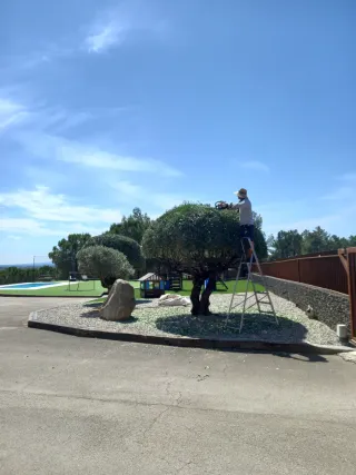 Limpieza parcelas y jardines