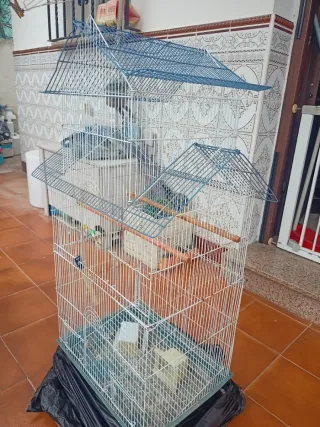 Jaula alta para ninfas