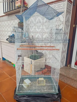 Jaula alta para ninfas