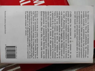Regalos de Eykis, Los (Spanish Edition)