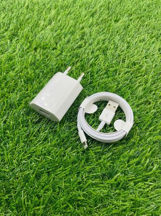 Cargador iPhone USB a Lightning Apple