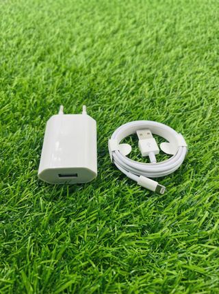 Cargador iPhone USB a Lightning Apple