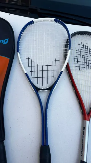 Lote Raquetas Marcas Varias Alta Gama