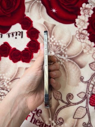 iPhone 13 Pro Max 128gb