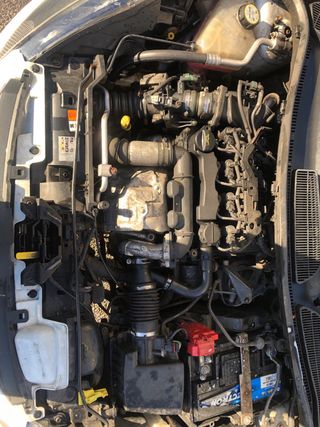 Ford Fiesta Titanium TDCI 1.6 90cv