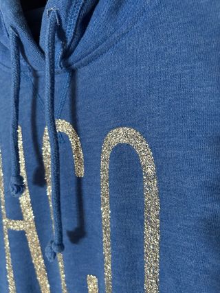 Sudadera Hollister Azul con Logo Glitter talla L
