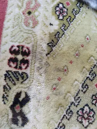 Tappeto di lana 202 x 304 cm + regalo altra tappeto