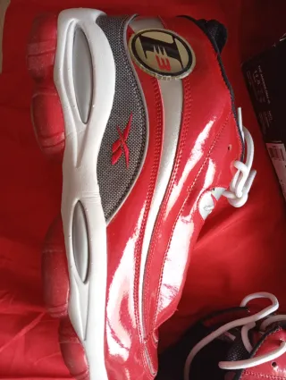 Reebok Allen Iverson DMX 10 Zapatillas