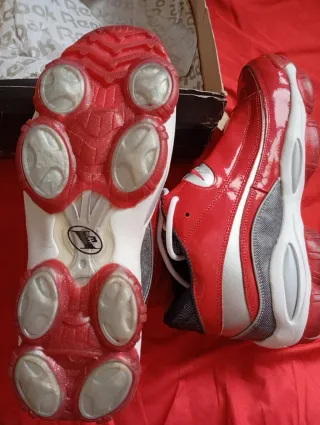 Reebok Allen Iverson DMX 10 Zapatillas