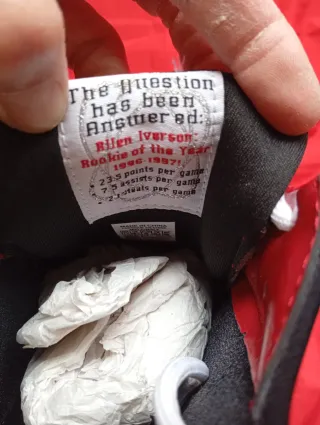 Reebok Allen Iverson DMX 10 Zapatillas