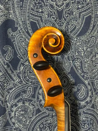 VIOLA, Bruno Dreux, 2005