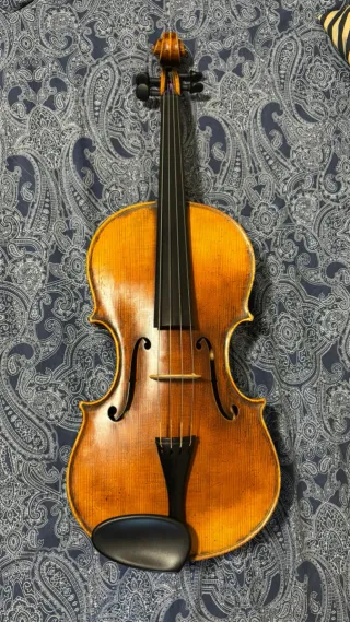 VIOLA, Bruno Dreux, 2005