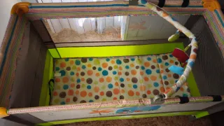 Parque de juegos / Cuna Jane para bebé