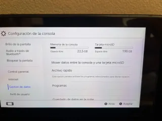 Nintendo Switch + Juego