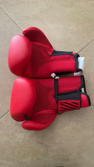 Puching ball y Guantes de boxeo 12 oz