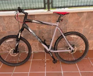 Bicicleta de montaña Giant Rainier.