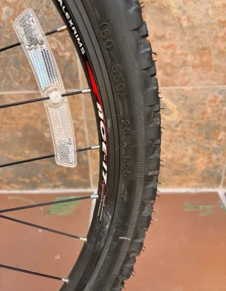 Bicicleta de montaña Giant Rainier.