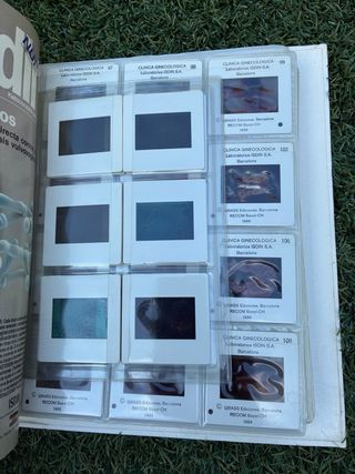 Colección de diapositivas comentadas