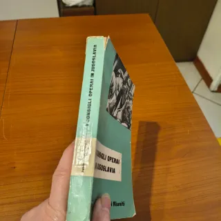 I consigli operai in Jugoslavia