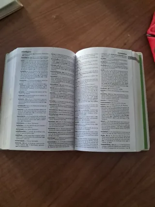 NUEVO DICCIONARIO BÁSICO DE LA LENGUA ESPAÑOLA ...