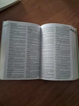 NUEVO DICCIONARIO BÁSICO DE LA LENGUA ESPAÑOLA ...