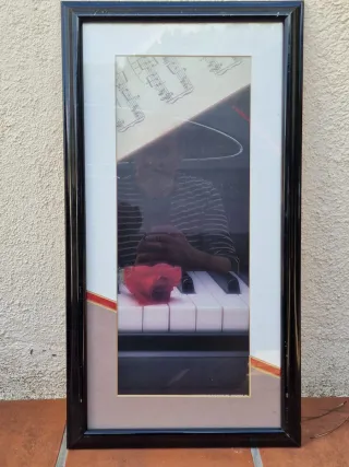 Cuadro Marco Negro Rosa Piano