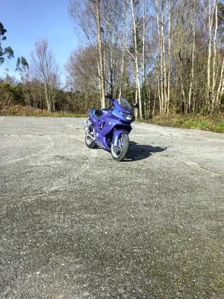 Yamaha YZF 600 Thundercat Limitada A2