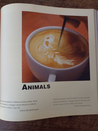 Cappuccino italiano latte art