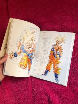 libro dragon ball