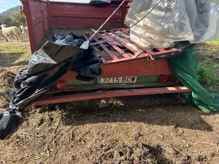 Remolque de carga rojo