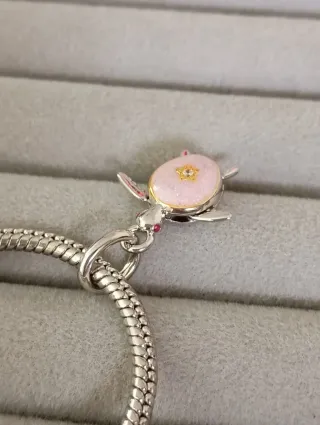 Charm tortuga Club 2026