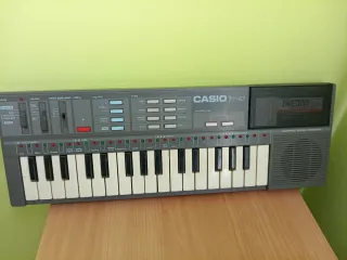Tastierino Casio PT-87