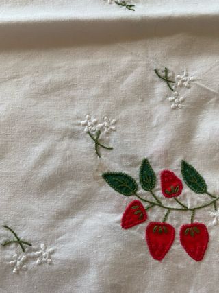 Festeje a Primavera-Panos primaveris