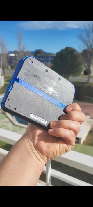 Nintendo 2DS Nero e Blu