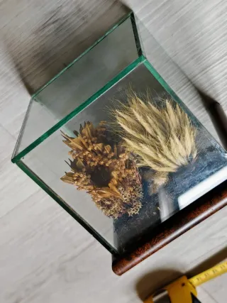 Diorama soprammobile casa e fiori secchi