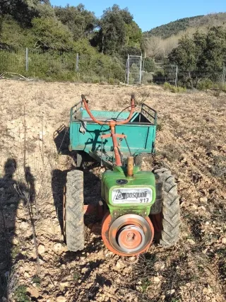 Motocultor Pasquali 913 con remolque